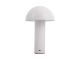 Table lamp Fuego LED iron matt white