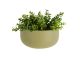 Doniczka scienna PT pot Oval olive zielony 
