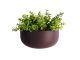 Doniczka scienna PT pot Oval purpurowy 