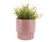 Plant pot Ribbed large matt faded pink Present Time