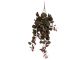 Artificial plant Hanging Ceropegia