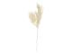 Artificial plant Asparagus Fern Stem white
