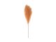 Faux Feather small burned orange