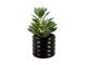 Plant Pot Bobbly Glazed ceramic small black