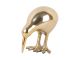 Statue Kiwi Bird metal gold plated